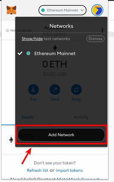 A step-by-step guide to adding Fantom Network to your MetaMask wallet