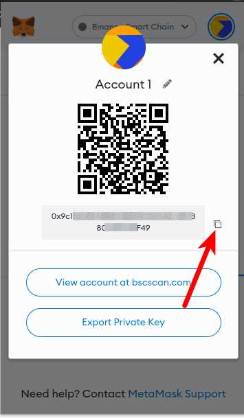 Step 1: Accessing Your Crypto.com Account