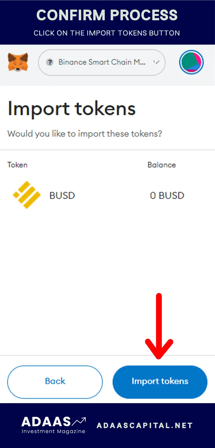 Step 3: Connect to the Binance Smart Chain Network