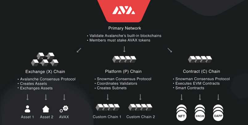 Seamless Integration with Avax Network