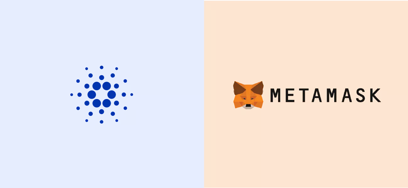 How to Set Up MetaMask with Cardano
