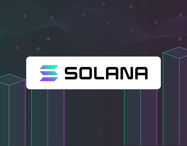 Using Metamask with the Solana Network