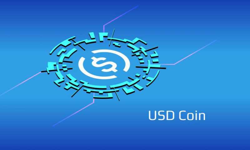Add USDC Token to your Wallet