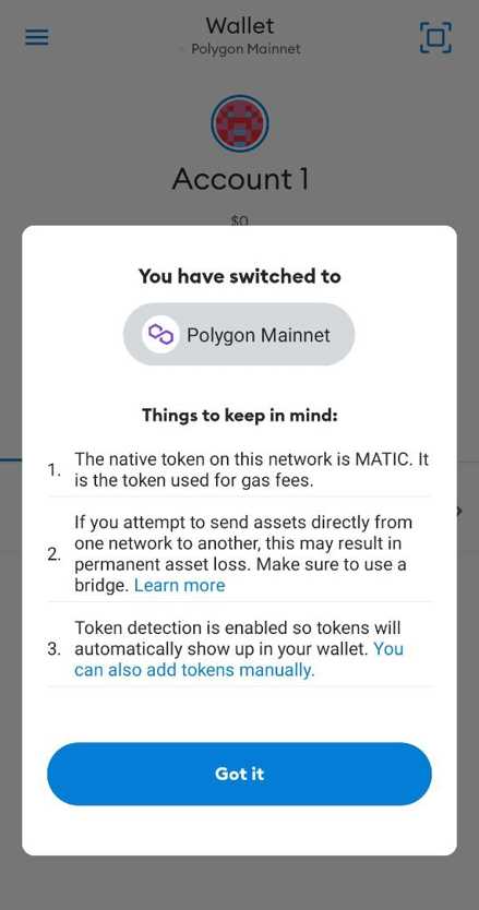 Adding Polygon to Metamask Wallet