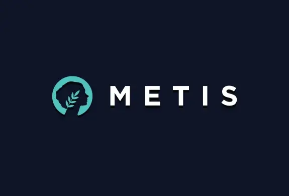 The Importance of Integrating Metis Network with Metamask