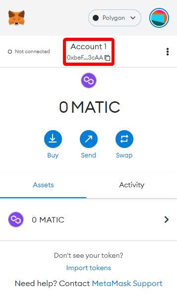 Step by Step Guide: Adding Matic Mainnet to MetaMask