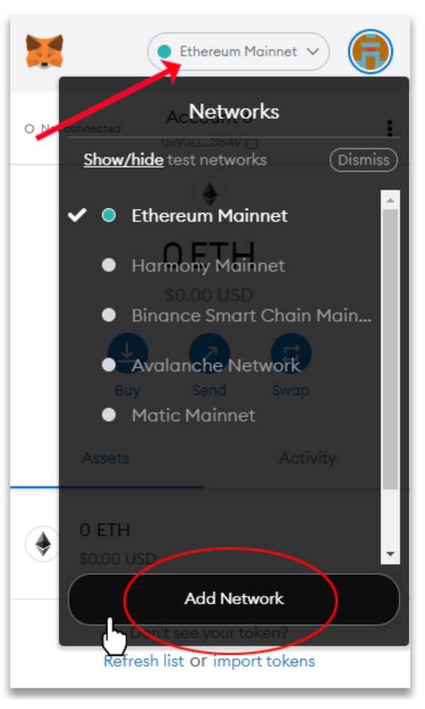 Step 3: Add the Fantom Network to Metamask
