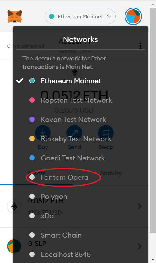 Step 6: Switch to Fantom network