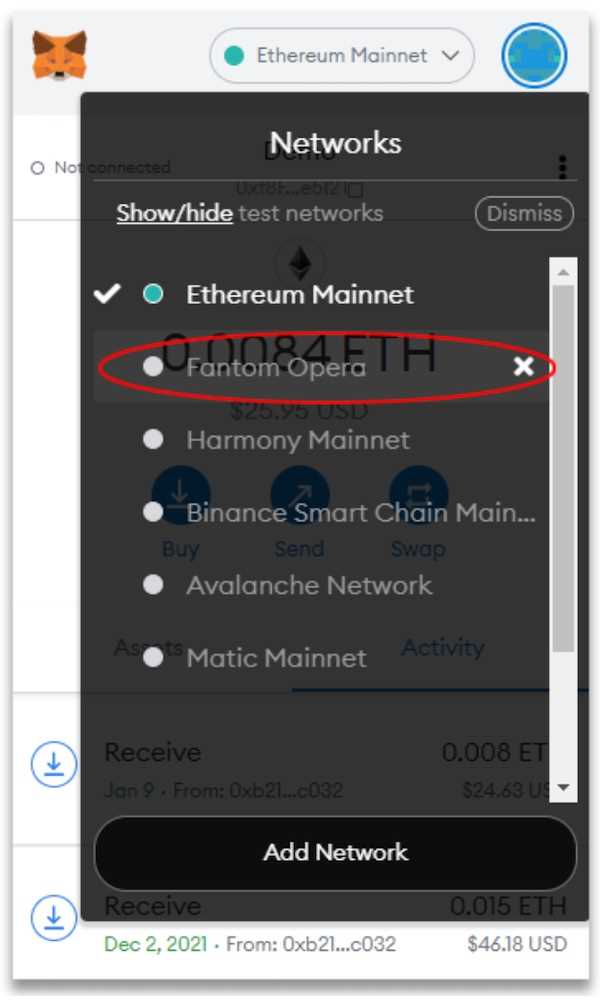 Step-by-Step Guide: How to Connect Metamask Wallet to Fantom Opera Network