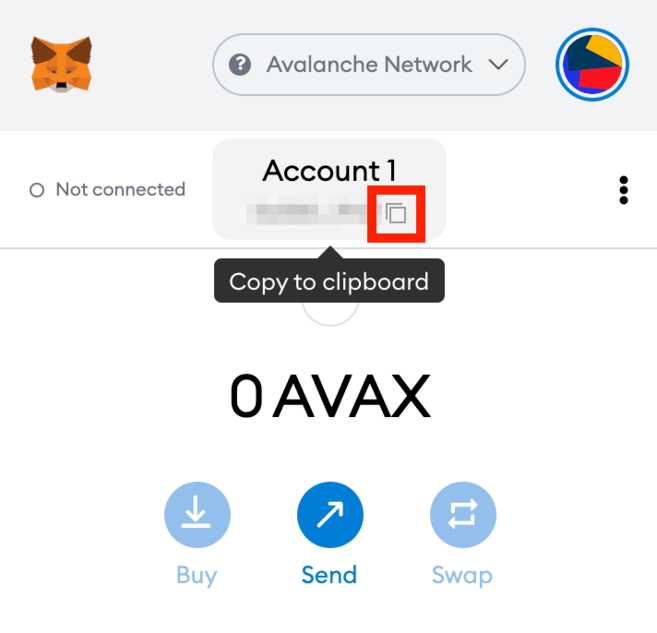 Connect Metamask to the Avalanche network