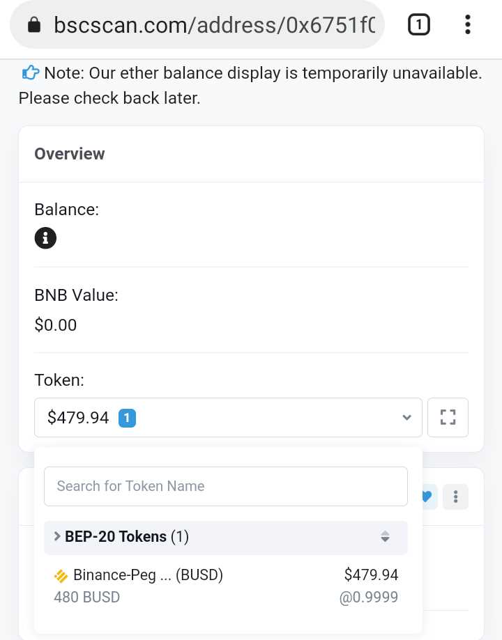 2. Adding BUSD Tokens to Wallet
