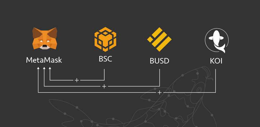 Importance of Verifying the BUSD Contract Address