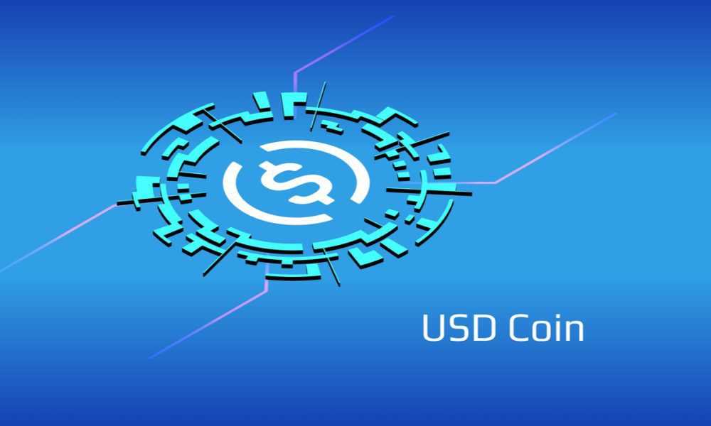 Step 6: USDC in Your Wallet