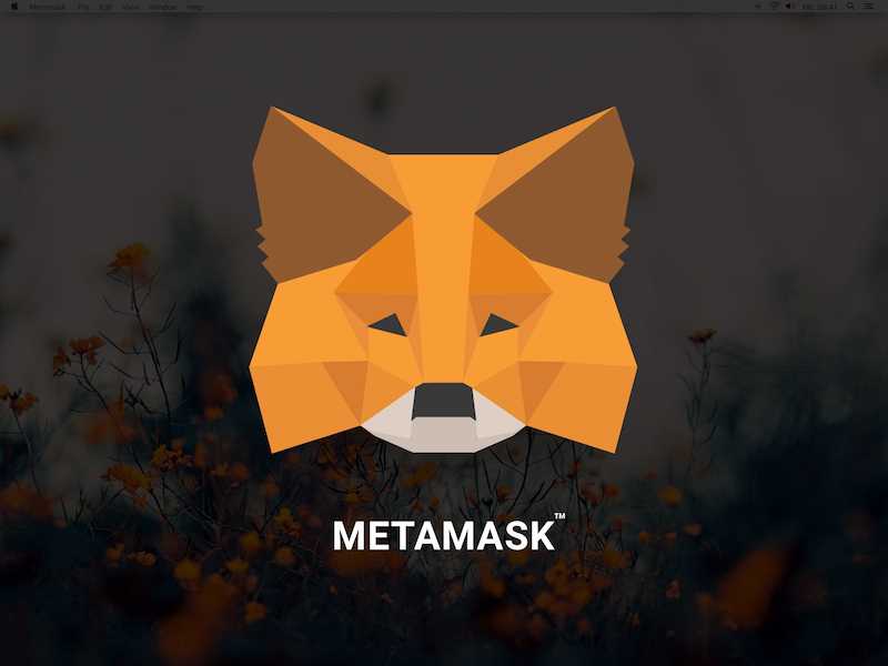 Getting Started with Metamask.io