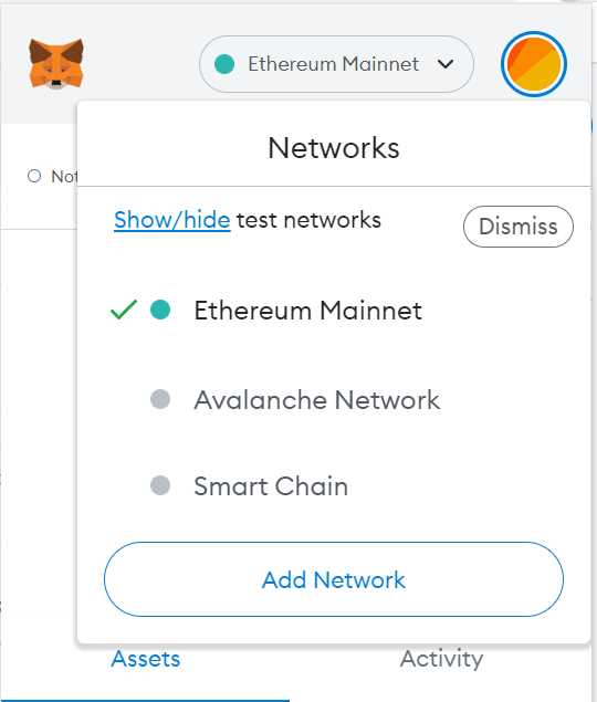 Step 3: Switch to Avalanche Network