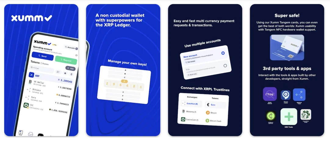 3. Connect to the XRP Network